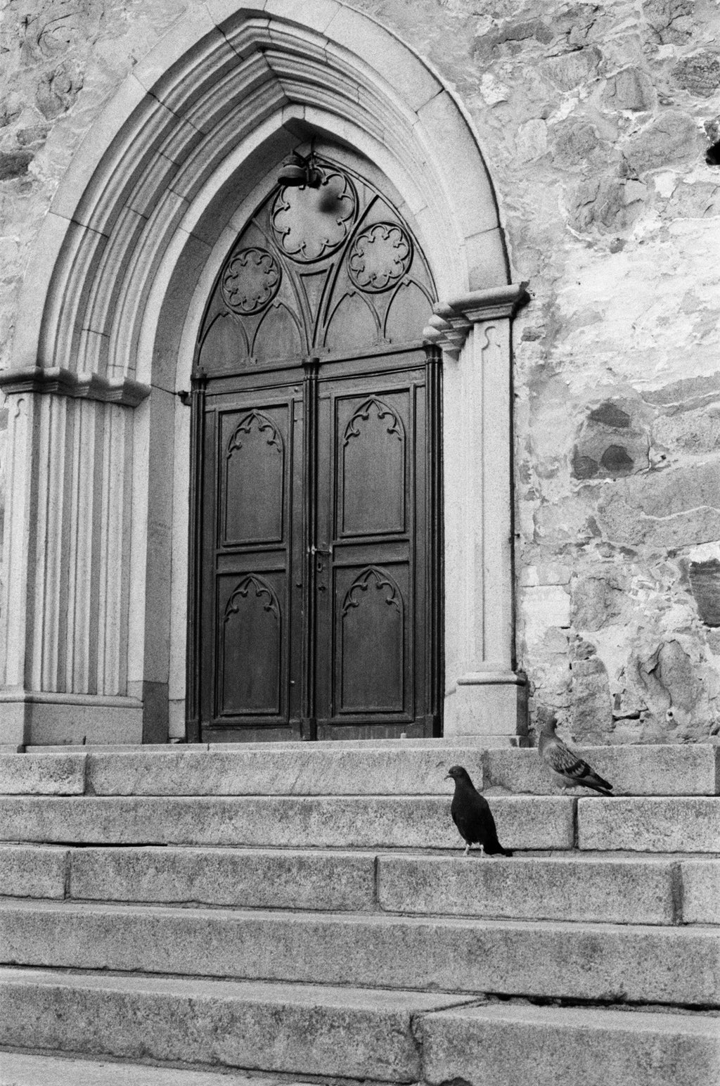 A door to church and birds standing on stairs.