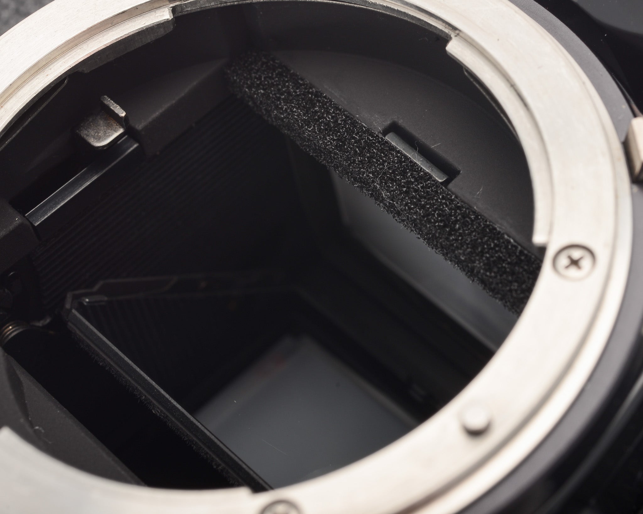 A very close-up of light seal foam on a camera body.